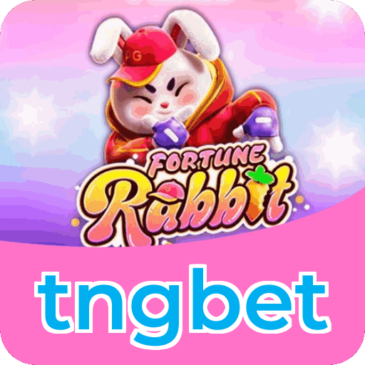 Equipe de suporte ao cliente da tngbet